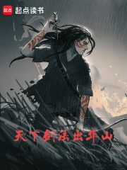 《华山剑宗》封面
