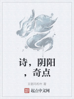 诗，阴阳，奇点