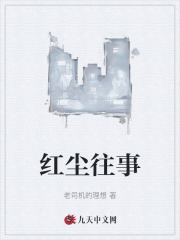红尘往事琴琴李宗强小说阅读，红尘往事完整版-胖达文学