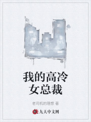 我的高冷女总裁琴琴李宗强小说在线全文免费阅读-胖达文学