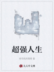超强人生小说，超强人生琴琴李宗强-胖达文学