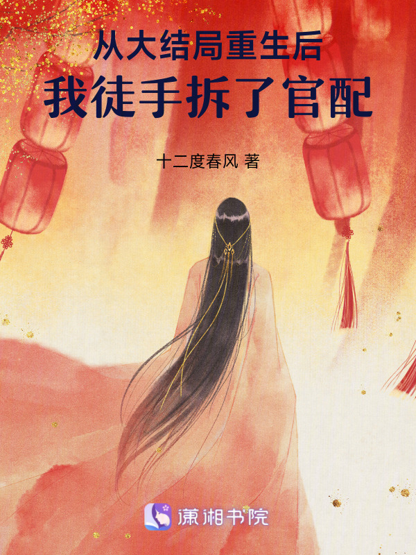 从大结局重生后，我徒手拆了官配小说封面