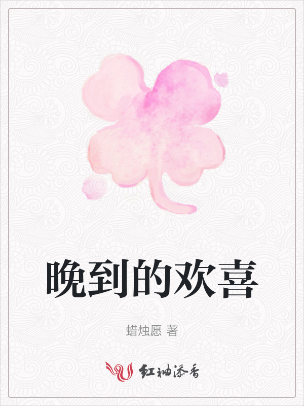 晚到的欢喜小说封面