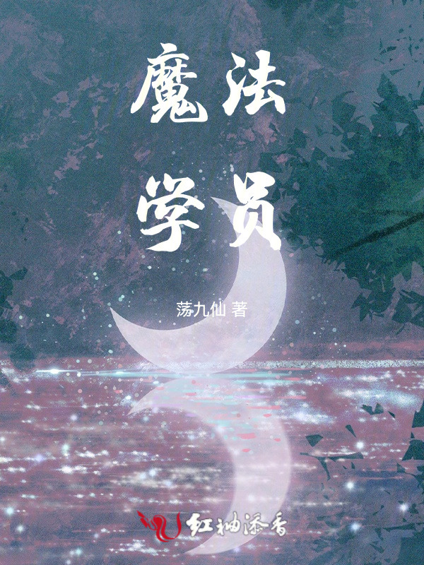 魔法学员小说封面