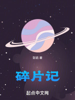碎片记