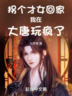 《拐个才女回家我在大唐玩疯了》封面
