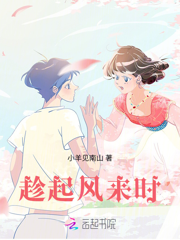 趁起风来时小说封面