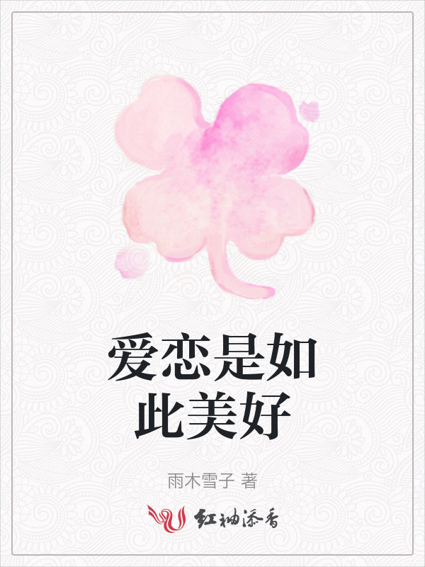 爱恋是如此美好小说封面