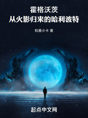 《霍格沃茨：从火影归来的哈利波特》封面
