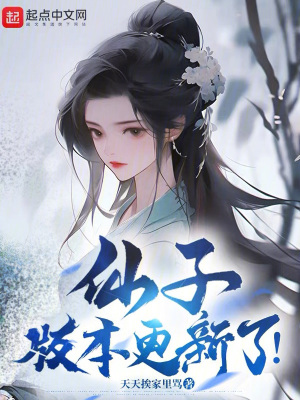 《仙子，版本更新了！》封面