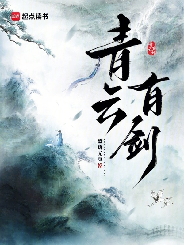 青云有剑小说封面