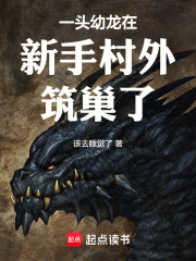 《新手村屏蔽》封面