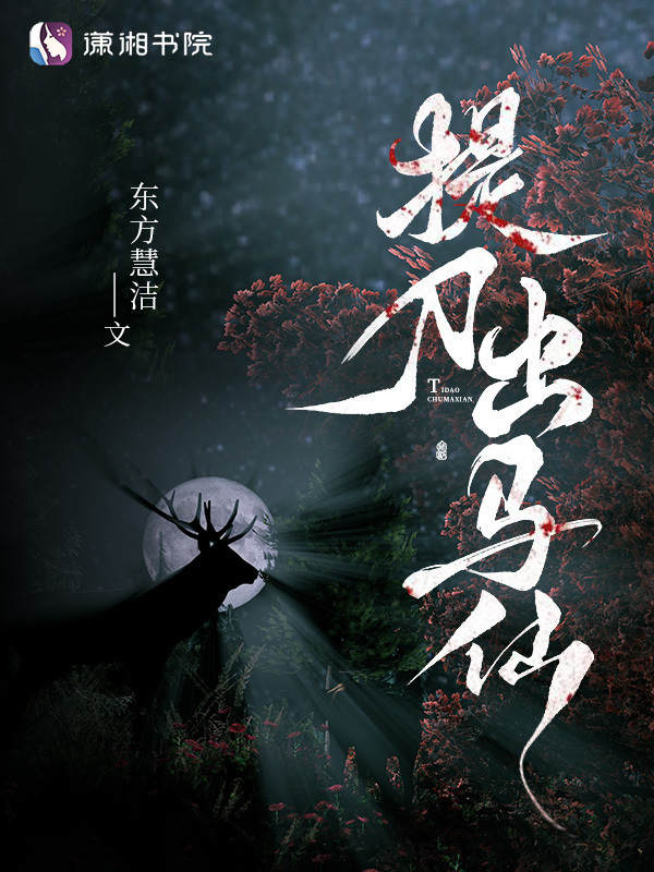 提刀出马仙小说封面