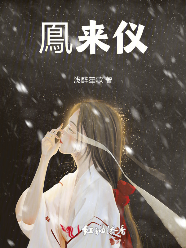 鳯来仪小说封面