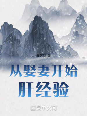 《从娶妻开始肝经验》封面