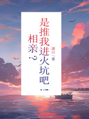 什么作品的主角叫苒苒秦子锋三姨夫？