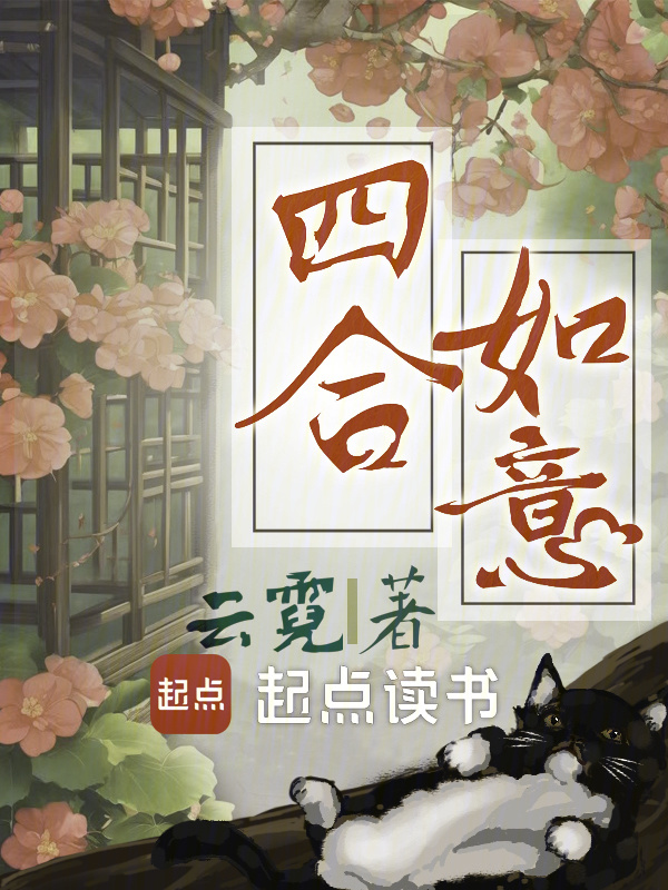 四合如意小说封面