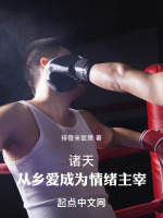宋杨系统流