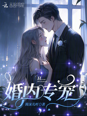 《婚内专宠》封面