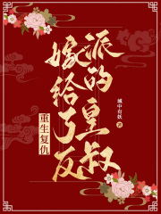 出現(xiàn)元盛齊蘭的小說在哪里可以找到？