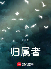 《灵魂碎片收集》封面