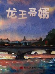 《龙王帝婿》全集免费在线阅读（小陈夏姐）