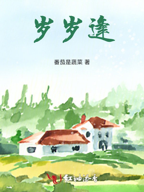 岁岁逢小说封面
