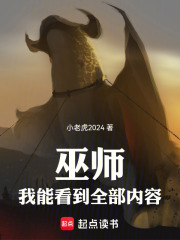 《巫师：我能看到全部内容》封面