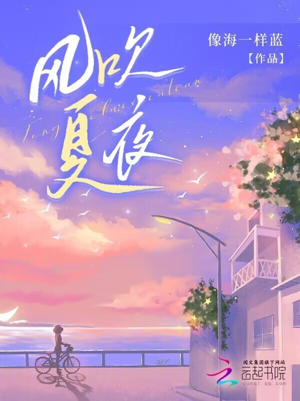 风吹夏夜小说封面