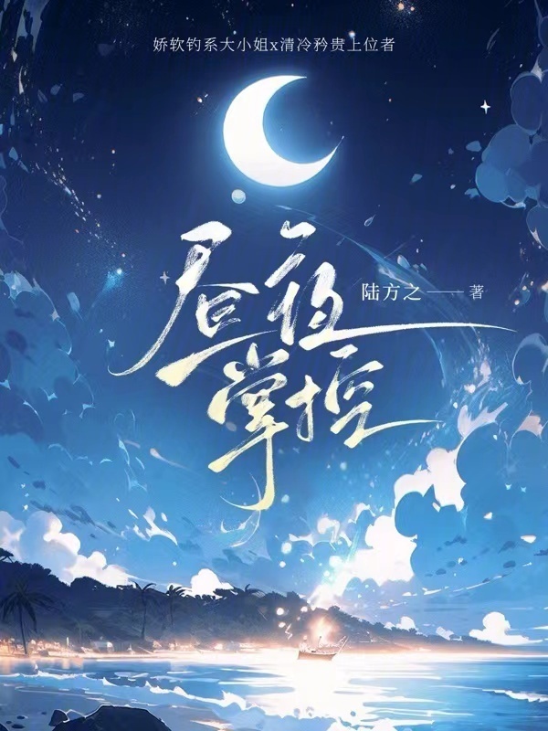 昼夜掌控小说封面