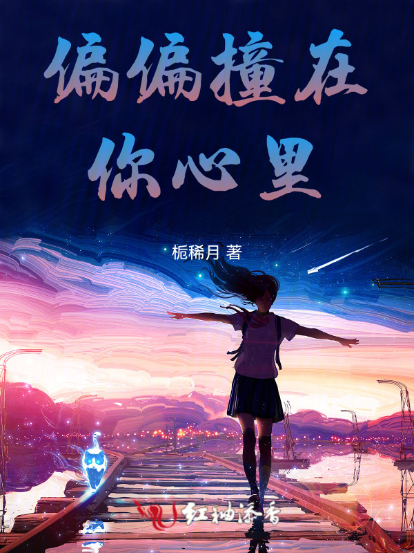 偏偏撞在你心里小说封面