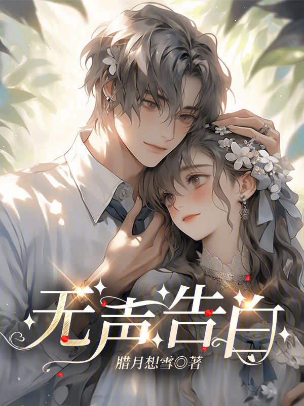 无声告白小说封面