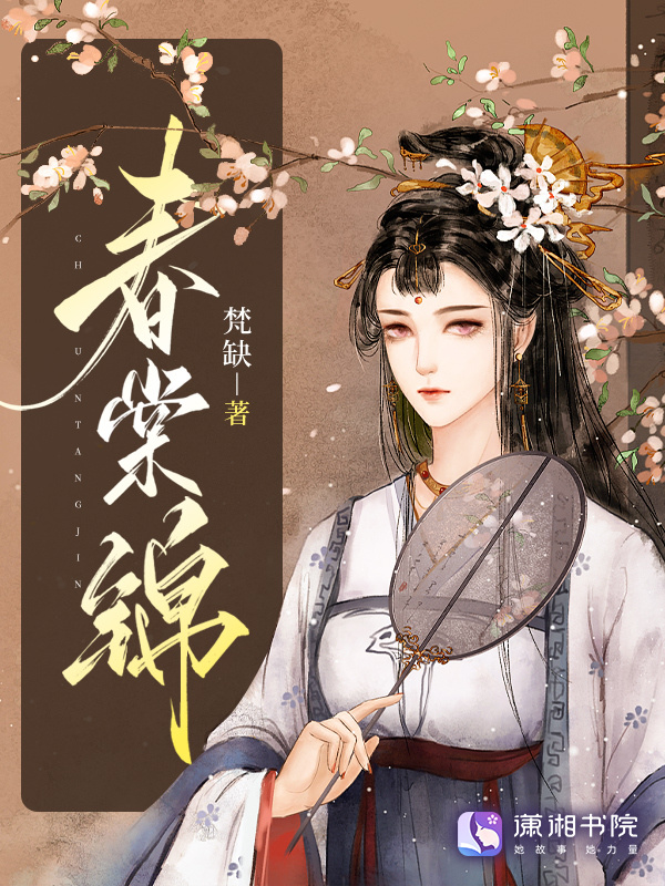 春棠锦小说封面