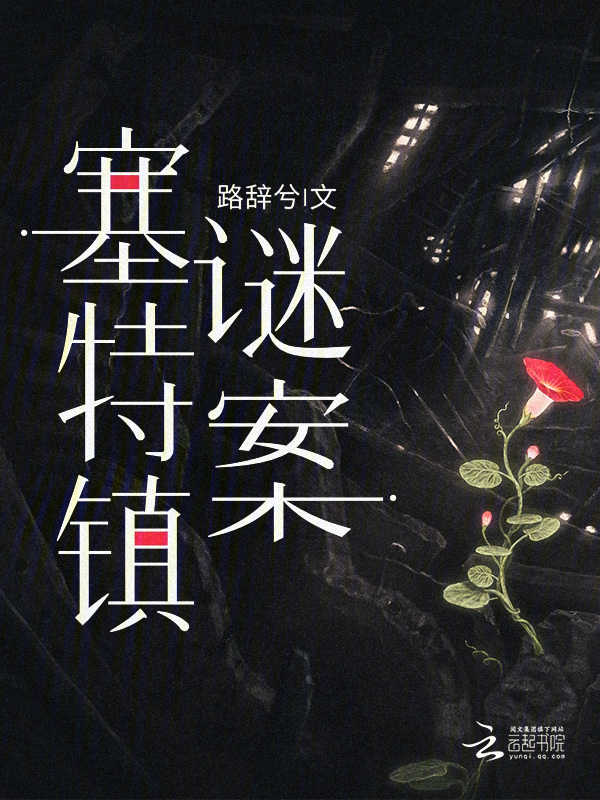 塞特镇谜案小说封面