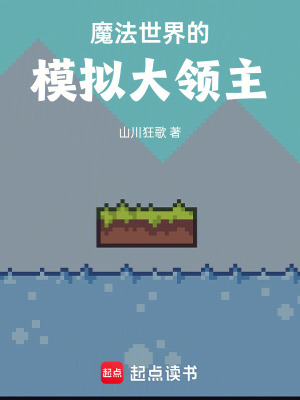 《魔法世界领主》封面