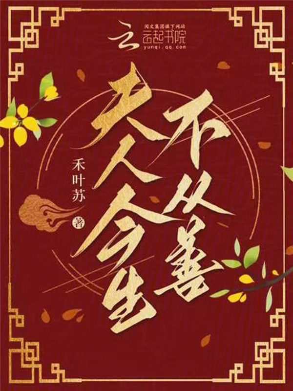 夫人今生不从善小说封面