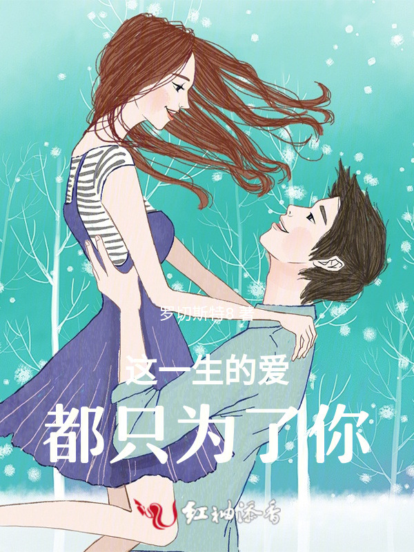 这一生的爱，都只为了你小说封面