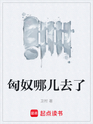 《匈奴哪儿去了》封面