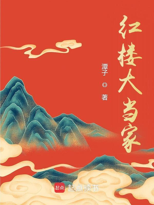 红楼大当家小说封面