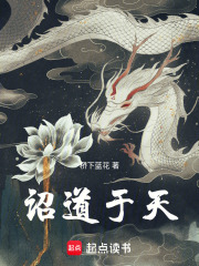 《九诏更迭》封面