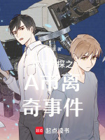 双子侦探之A市离奇事件