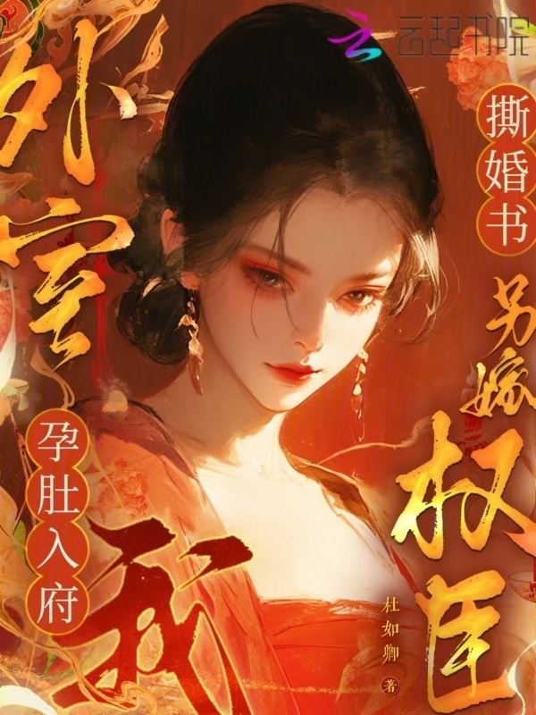 外室孕肚入府，我撕婚书另嫁权臣小说封面