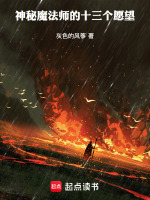 神秘魔法师的十三个愿望