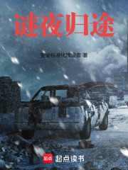 《谜夜归途》封面