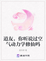 道友，你听说过空气动力学修仙吗