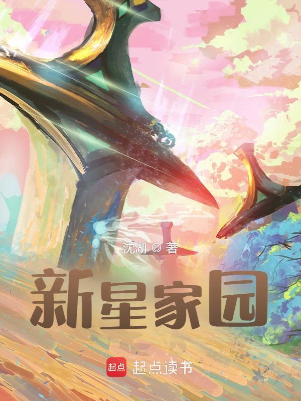 新星家园小说封面