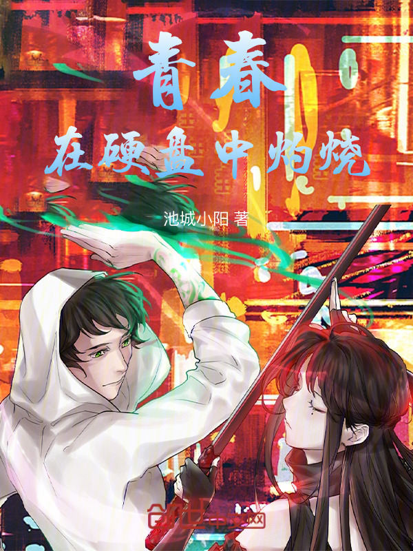 青春在硬盘中灼烧小说封面