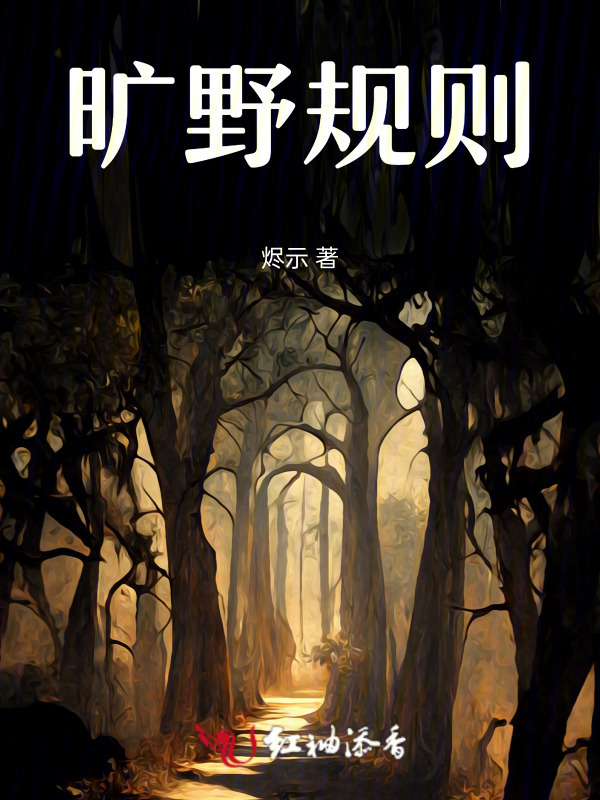 旷野规则小说封面