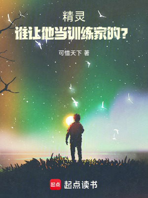 《精灵：谁让他当训练家的？》封面