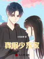 真假少东家